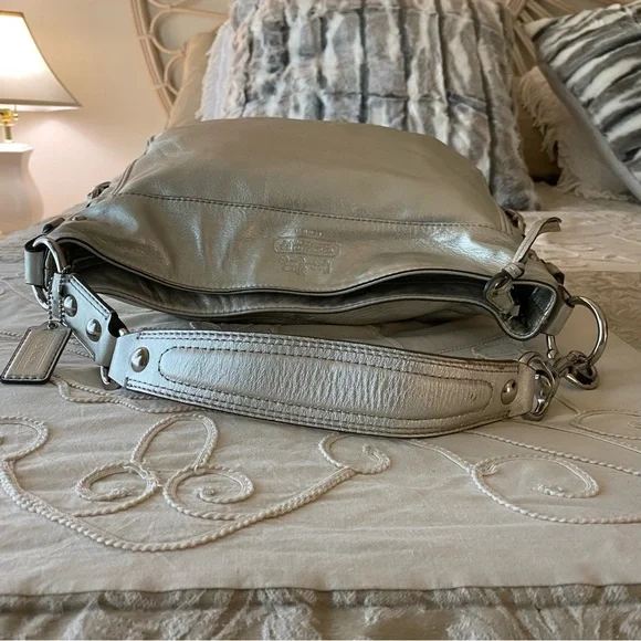 Coach Vintage Zoe Metallic Bag